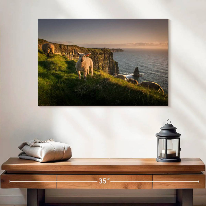 Brampt Moher Cliffs Sheep