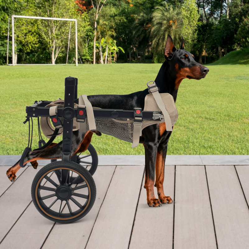 Pet Wheels Dog Wheelchair
