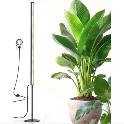 Lampe de culture sur pied pour plantes d'intérieur avec minuteur, 65W 5000K PPFD à spectre complet, série de lumières de croissance verticales Tera, interrupteur au pied, conception non éblouissante (noir)