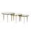 Jan 3 - Piece Nesting Coffee Table Set