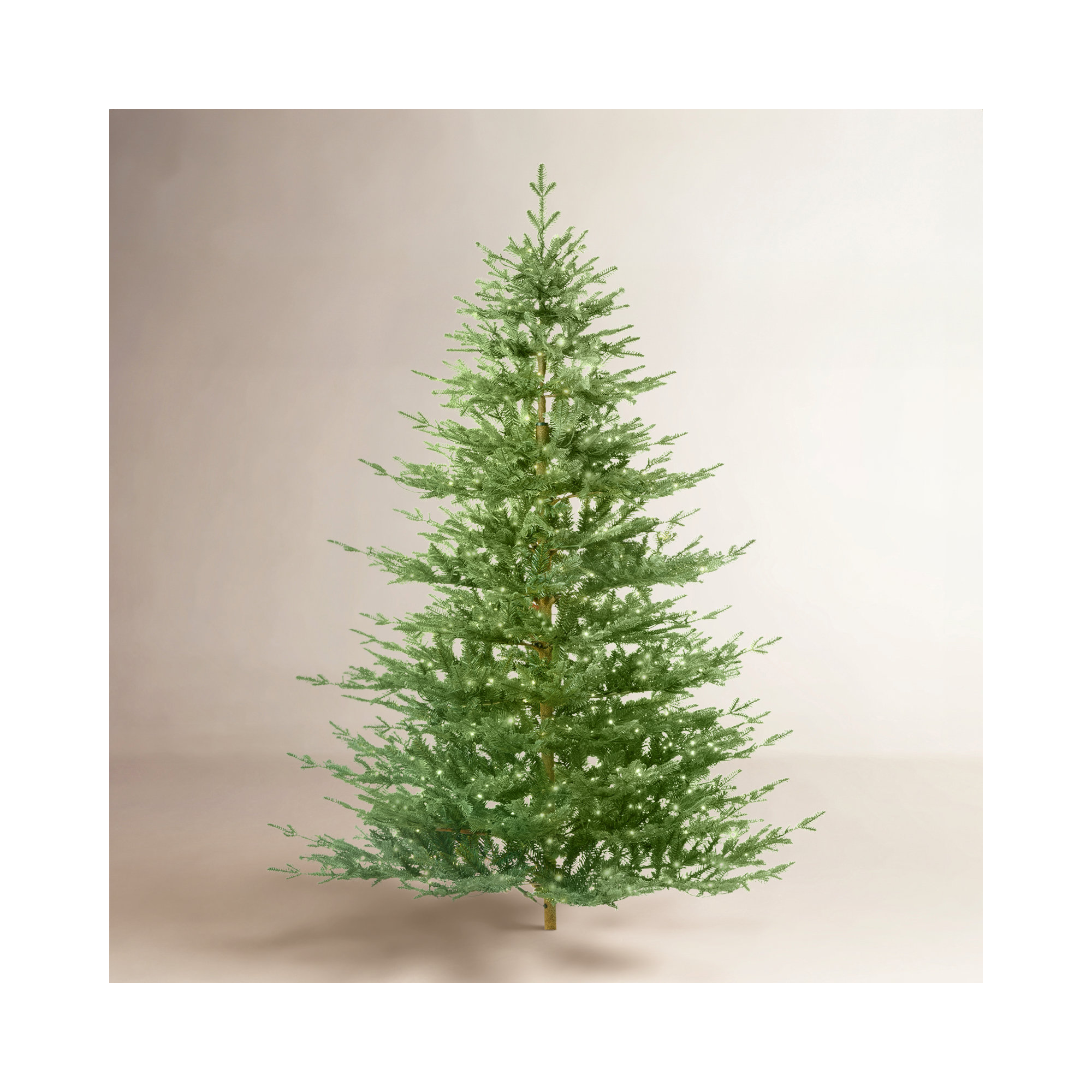 Lighted Artificial Christmas Tree - Stand Included, 7ft, Pre-Lit