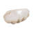 Bequette Resin Polyresin Coastal Decorative Clam Shell Bowl with Sculptural Wavy Rim - Elegant Modern Accent Bowl for Display or Storage - Stylish Textured Centerpiece for Home Decor-1766602600