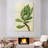Harnek Front Yard Succulent III-108510534