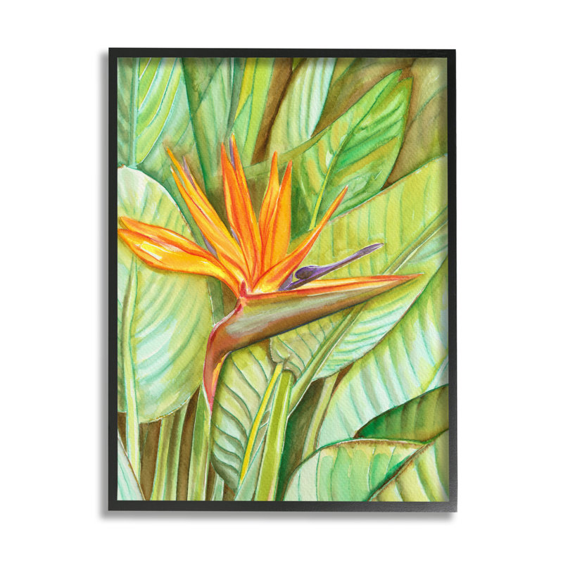 Fleur oiseau de paradis, Giclée encadrée noir minuit, H 14 po x l 11 po x P 1,5 po
