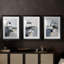 NAUTICAL Series Dxliv-1828832663-1828832657