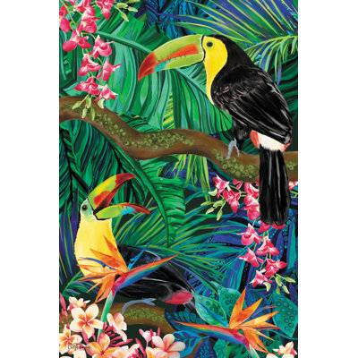 Toucan Twins