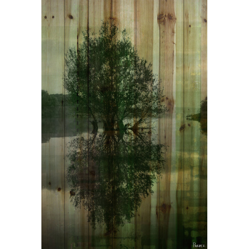 « reflective » par parvez taj,, reproduction d’art sur bois de pin naturel, H 60 po x l 40 po