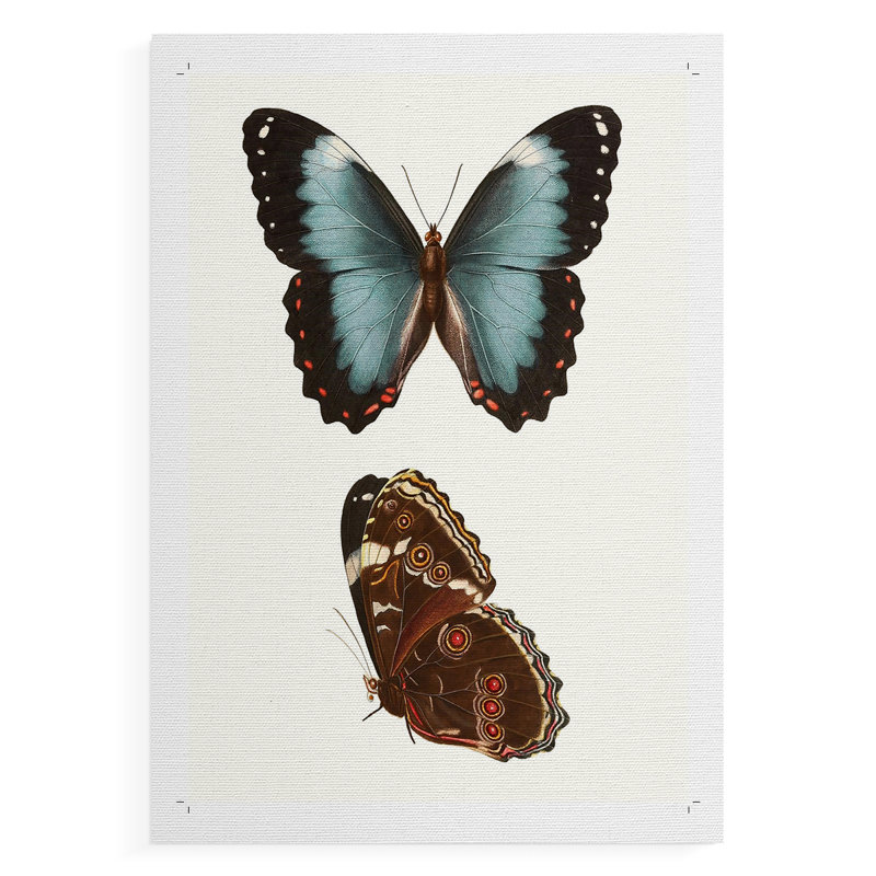 Papillons bleus antiques IV - reproduction de toile seulement - non encadrée, H 27 po x l 18 po