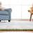 Krystyna Hand Tufted 85% Wool; 15% Cotton Rug-565456332