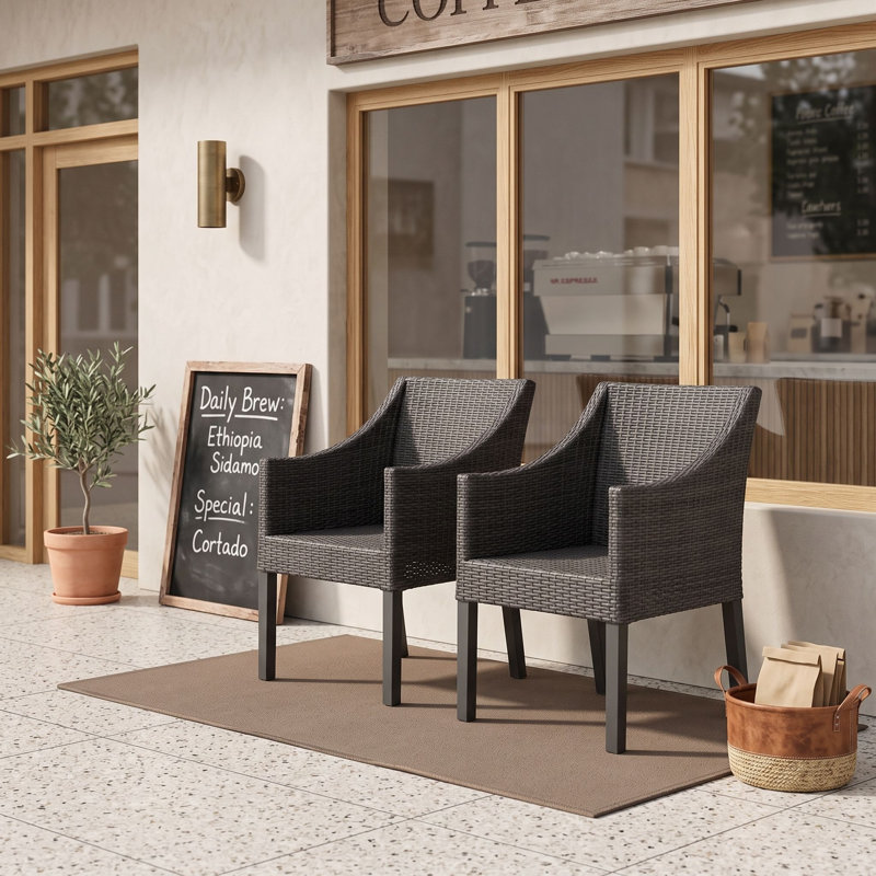 Ensemble de 2 chaises d'extérieur en osier