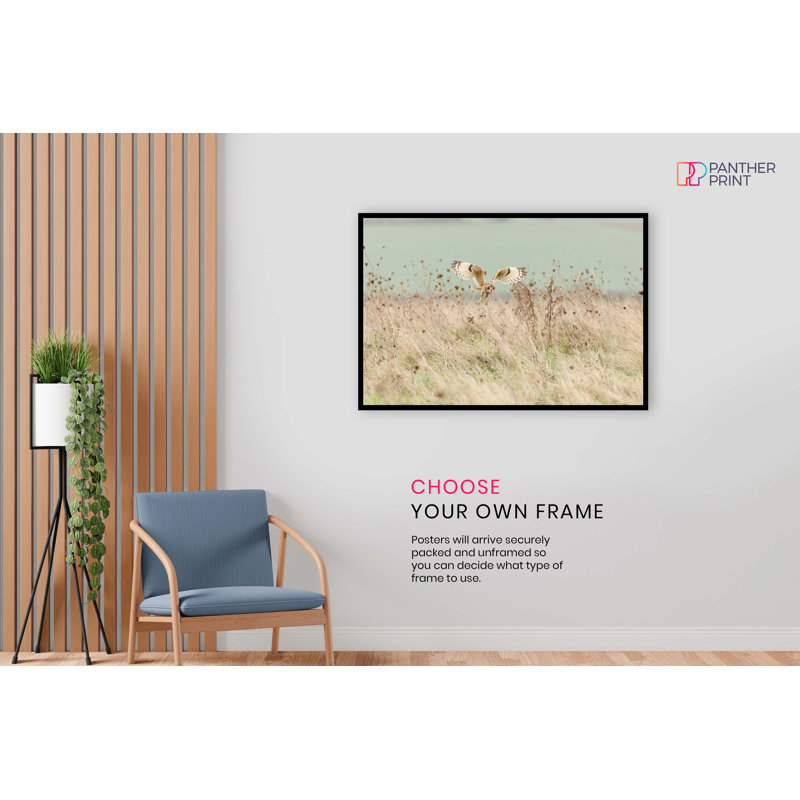Panther Print Fine Art Prints Brown & Black Short Eared Owl In Wildlife Artistic Unframed Poster, Pictures For Home Walls, Bedroom, Living Room & Bathroom Decor - No Frame Print