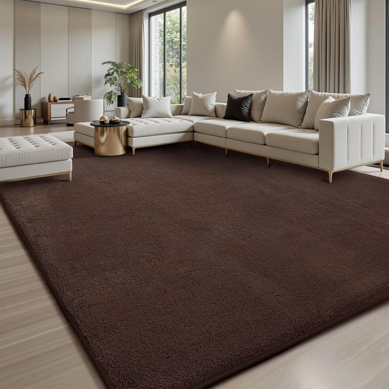 9x12 Area Rugs for Living Room, Soft Large Area Rug Fluffy Rugs for Bedroom，Machine Washable Area Rug Non Slip Carpet Rug for Living Room Playroom Kids Room Home Decor