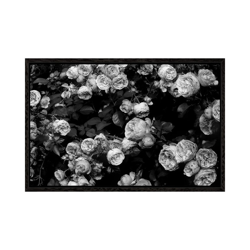 Roses by Sisi & Seb - Gallery-Wrapped Canvas Giclée on Canvas, 66.04 cm H x 45.72 cm W, Black Framed