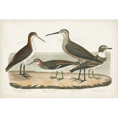 Waterbird Trio II - Painting
