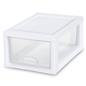 Sterilite Craft Case
