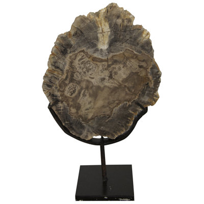Fossil with Stand Sculpture