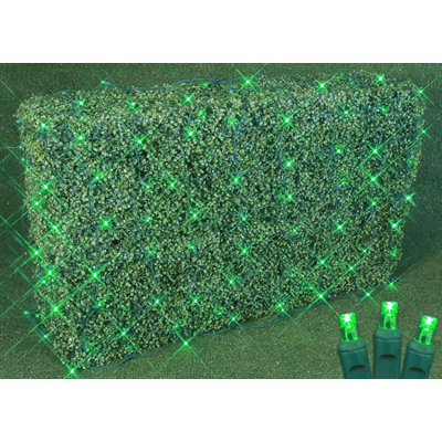 LED Net Lights