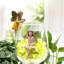 Ensemble de 5 mini figurines de jardin fées