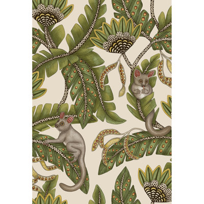 Ardmore-Jabula Bush Baby 33' L x 20.5" W Wallpaper Roll