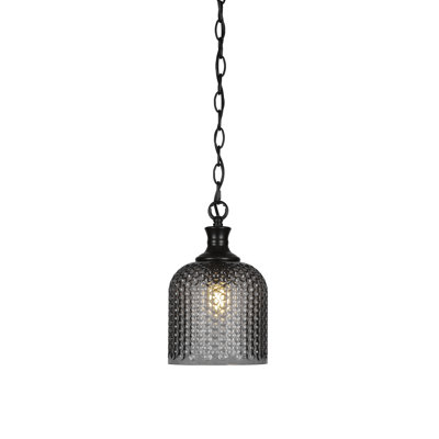 Luminaire suspendu à chaîne 1 lumière Zola