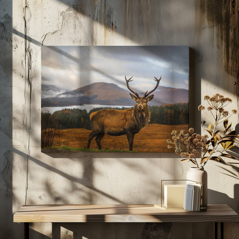 Wrapped Canvas Print, 60.96 cm H x 91.44 cm W
