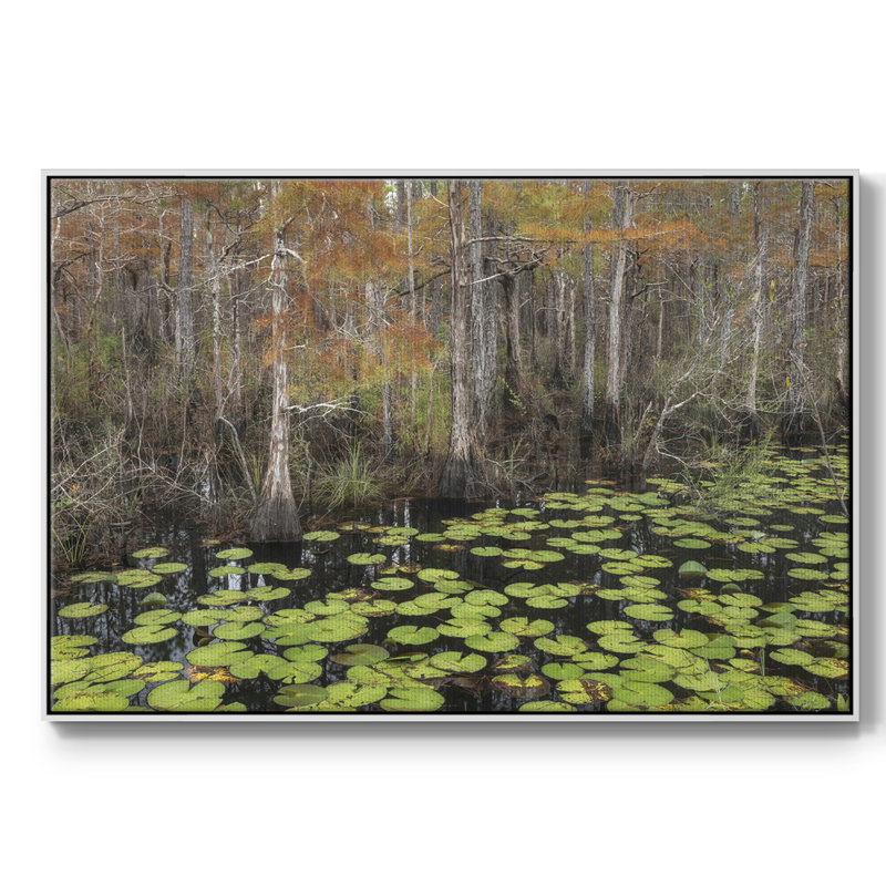 " Bayou Fall ", White, 25" H x 37" W x 2" D
