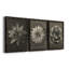 «Blossfeldt Flower I», ensemble de 3 reproductions de photos sur toile-407649716-407649714