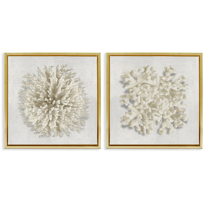 Ensemble de 2 cadres flottants en corail naturel distinct, design par Caroline Kelly, H 18 po x l 18 po