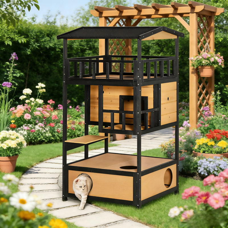 Extérieur / intérieur pour chat
