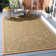 Pharrell Performance Oriental Rug
