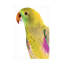 Polly par Clint-967129919