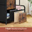 83 cm W Chest of 3 Drawers