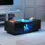 Darnika Solid Coffee Table with Storage-1753511255