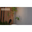 Projecteur décoratif d'extérieur 12V avec prise MR16 East Grove Home Amped Landscape Lighting-127419955-127419953