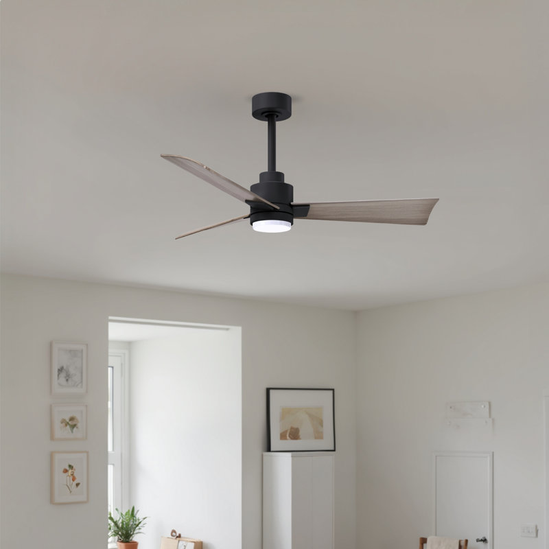 Ventilateur de plafond Alessandra, Ton bois de frêne gris, Noir mat, 42"