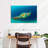 Brampt Philippine Green Sea Turtle-108816635