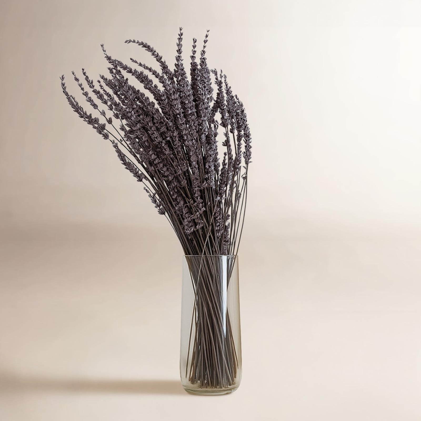 Modern Art Preserved Lavender Stems, Dark Purple