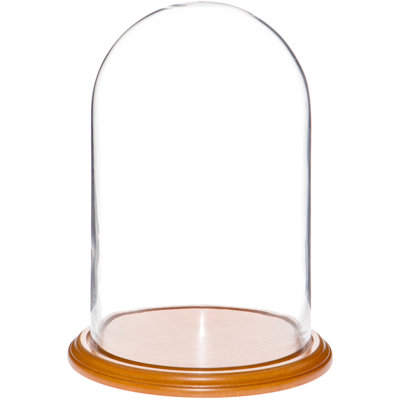 Vucciria Glass Display Dome Cloche