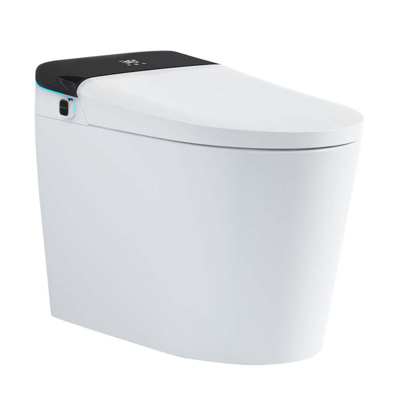 Toilette allongée pour bidet Tusuton 1,32 GPF, Blanc / noir