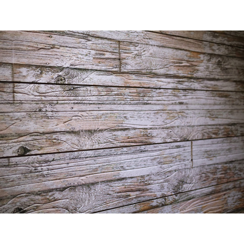 Old Paint - White Shiplap Wall Paneling