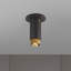 1 - Light Flush Mount-1746149240-1750557685