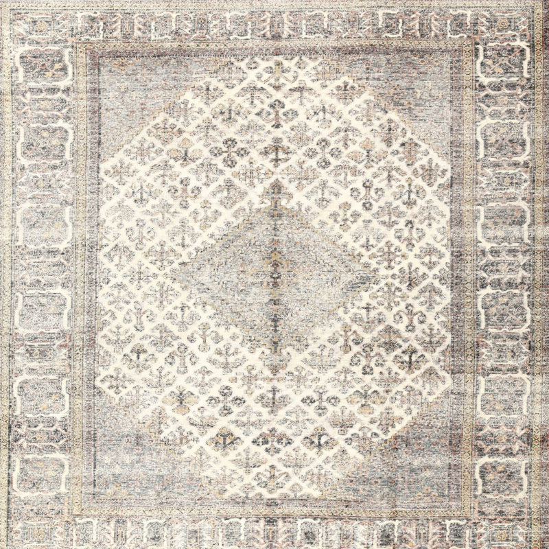 Villebois Oriental Indoor Rug, Square 6'
