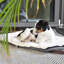 Polyester Pet Bed-70771805