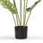 Artificial Monstera Tree In Nursery Pot-345326573
