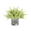 Heather Arrangement in Vase