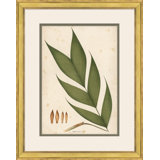 Palm Leaves 4 Giclee Print by Soicher Marin Archives