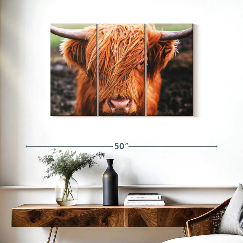 Frange Highland, H 24 po x l 38 po