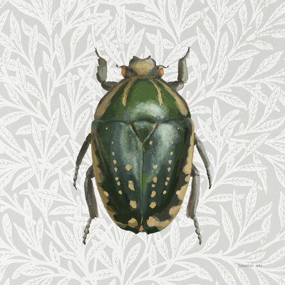 Beetles and Butterflies II by Danhui Nai