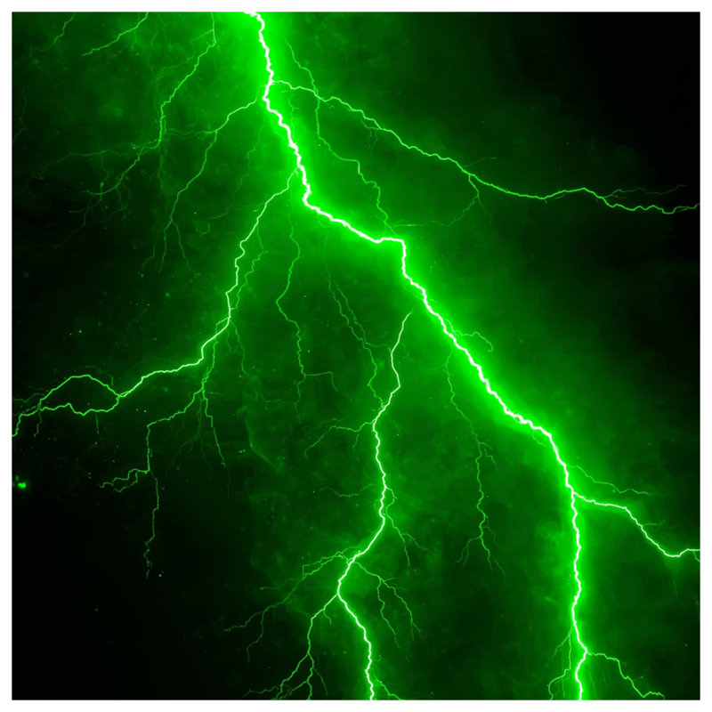 Coussins décoratifs Green Lightning Bolt, 16 x 16 inches