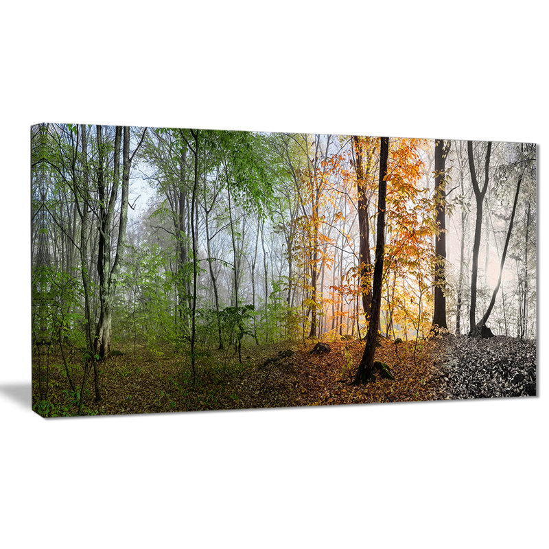 Morning Forest Panorama Green Landscape Canvas Print with Wood Frame